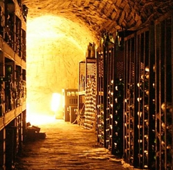 vino